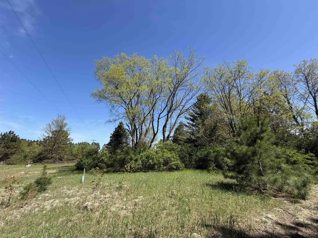 13158 Cinder Homestead Township MI 49617