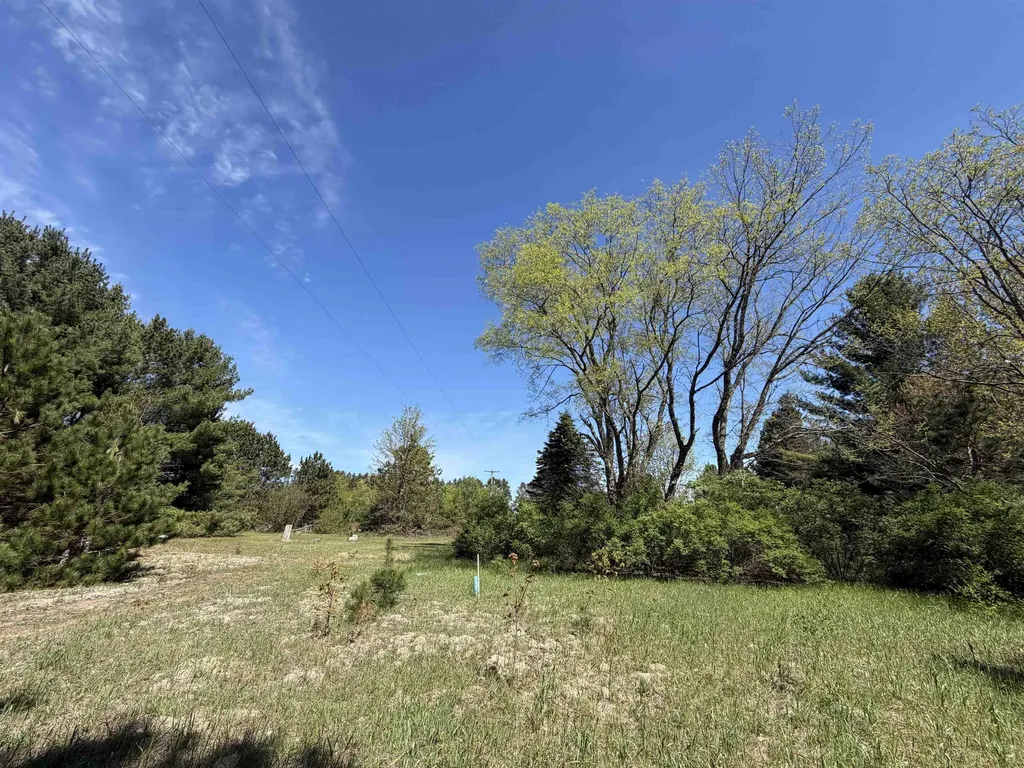 13158 Cinder Homestead Township MI 49617