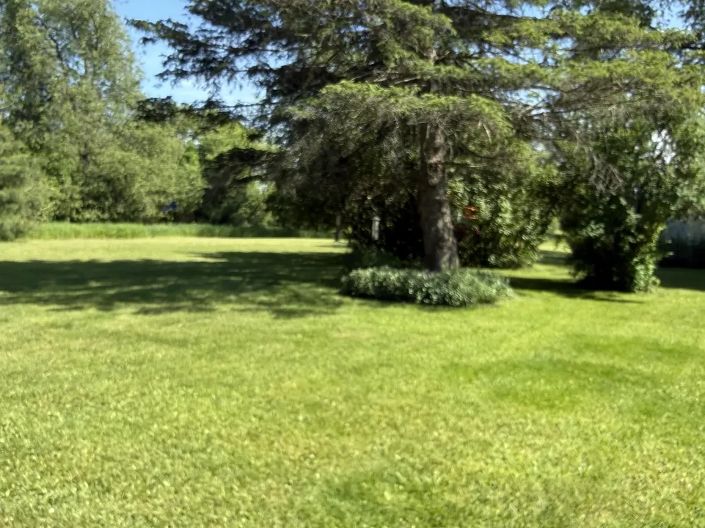 2181 S Mcgee Road Reeder Township MI 49651