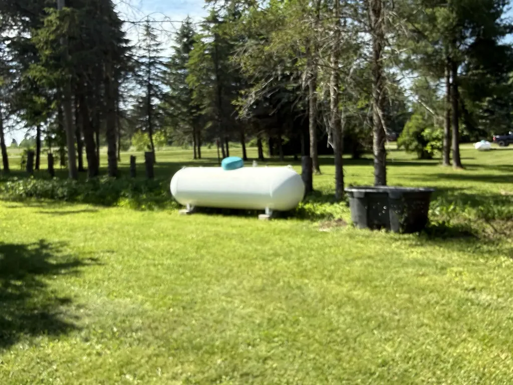 2181 S Mcgee Road Reeder Township MI 49651