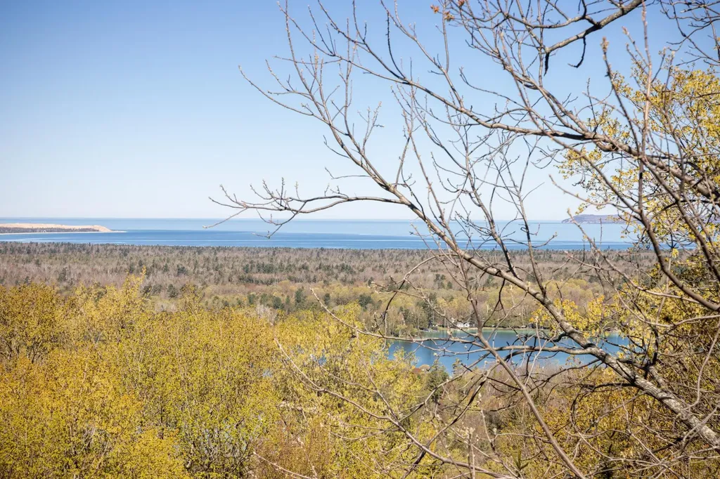 3961 W Cheney Woods Trail Glen Arbor Township MI 49664