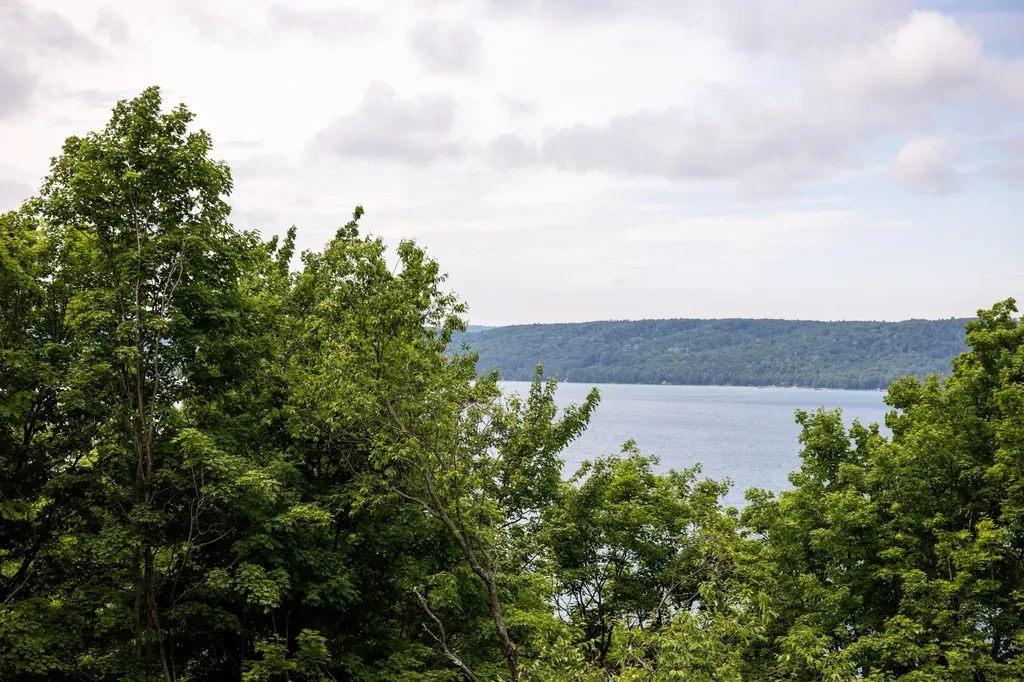 3961 W Cheney Woods Trail Glen Arbor Township MI 49664