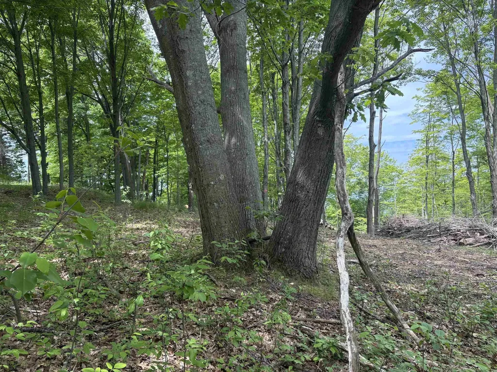 3961 W Cheney Woods Trail Glen Arbor Township MI 49664