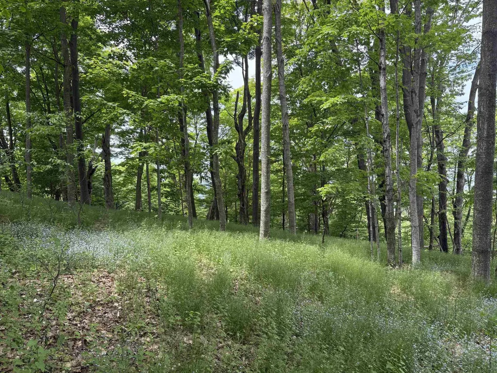 3961 W Cheney Woods Trail Glen Arbor Township MI 49664
