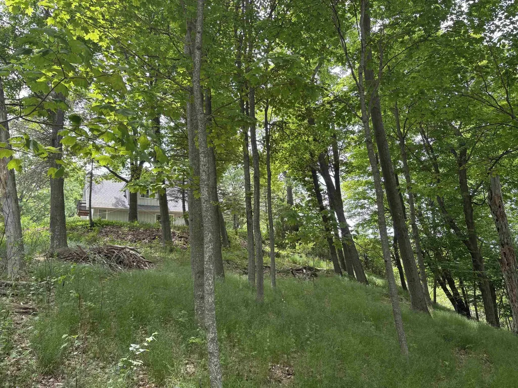 3961 W Cheney Woods Trail Glen Arbor Township MI 49664