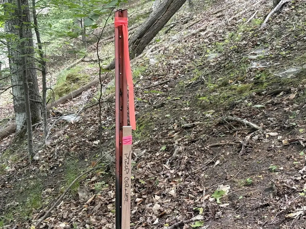 3961 W Cheney Woods Trail Glen Arbor Township MI 49664