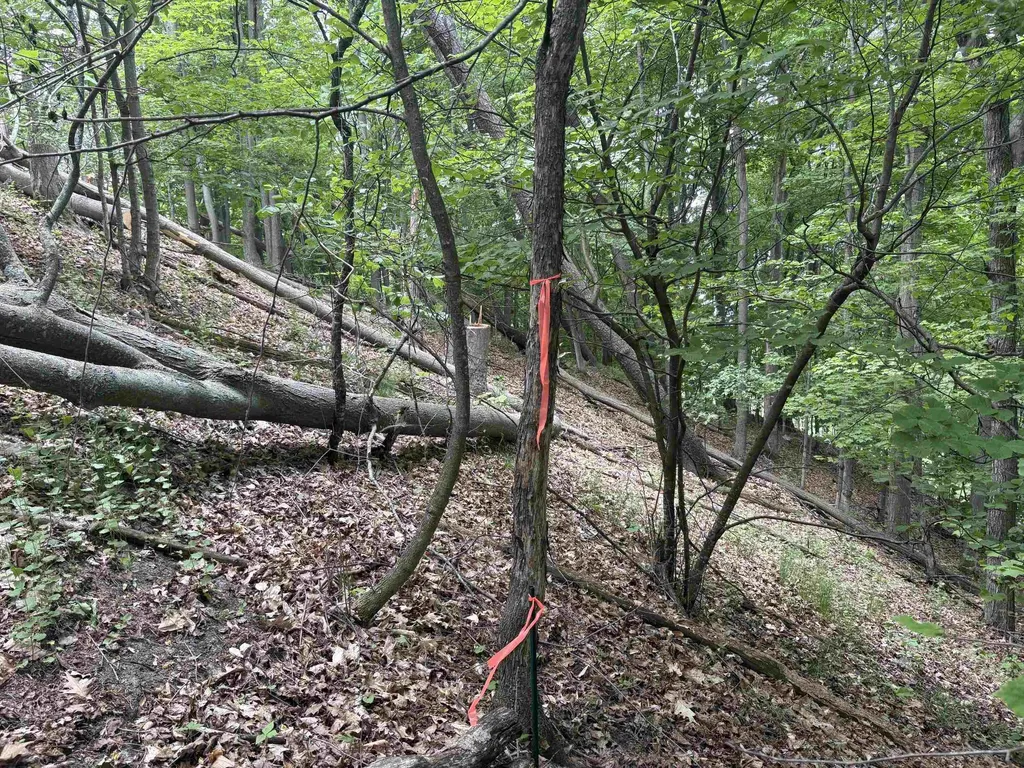 3961 W Cheney Woods Trail Glen Arbor Township MI 49664