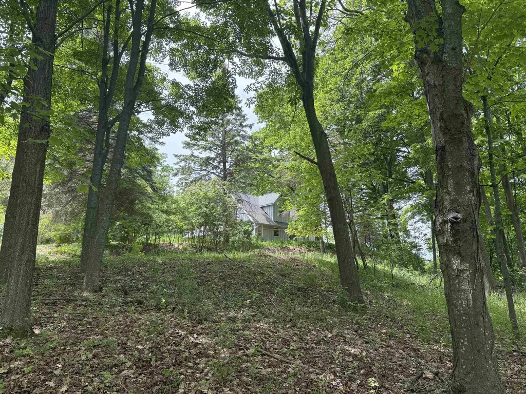 3961 W Cheney Woods Trail Glen Arbor Township MI 49664