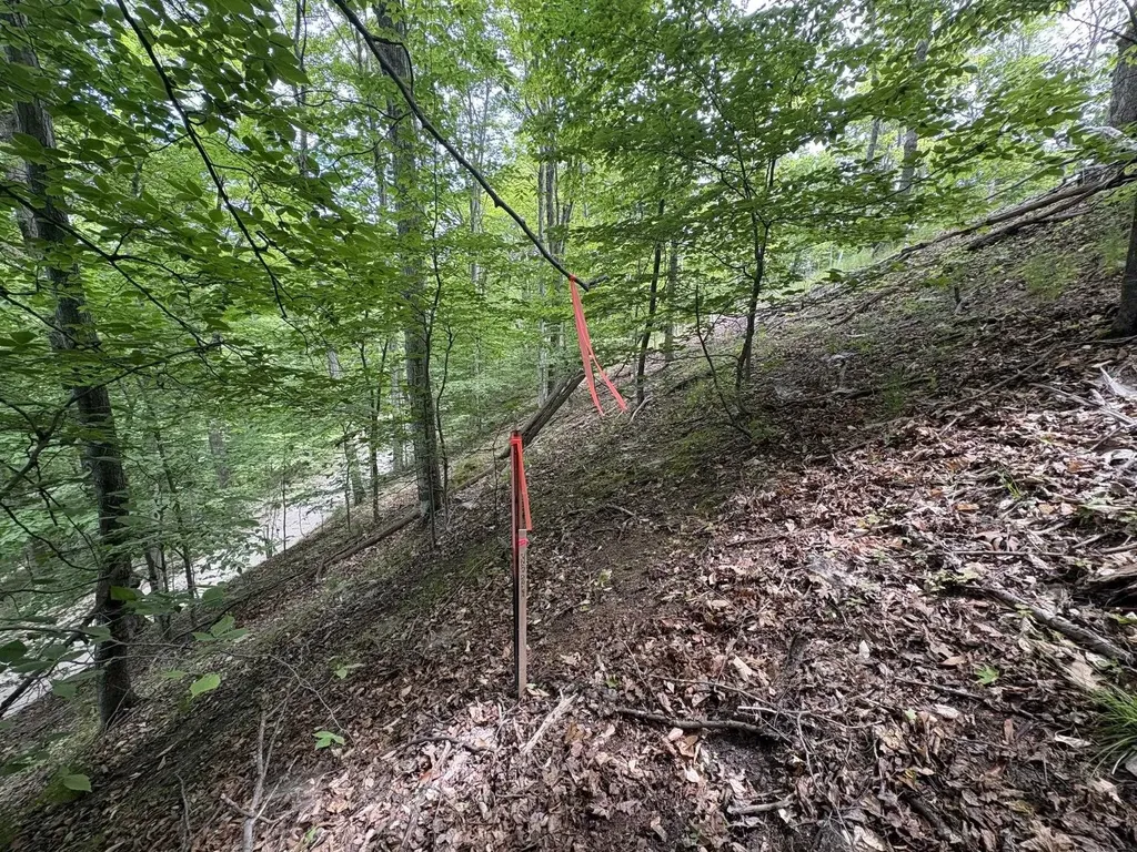 3961 W Cheney Woods Trail Glen Arbor Township MI 49664
