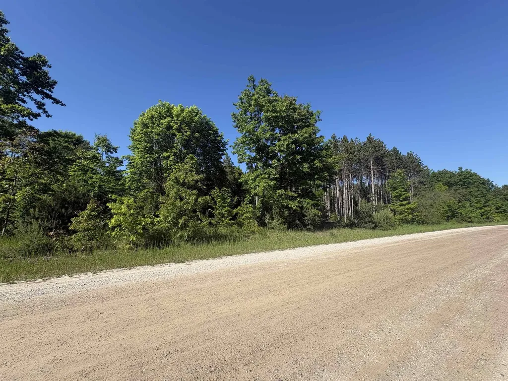 Parcel E Saint Johns Road Inland Township MI 49643