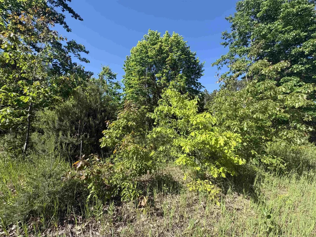 Parcel E Saint Johns Road Inland Township MI 49643