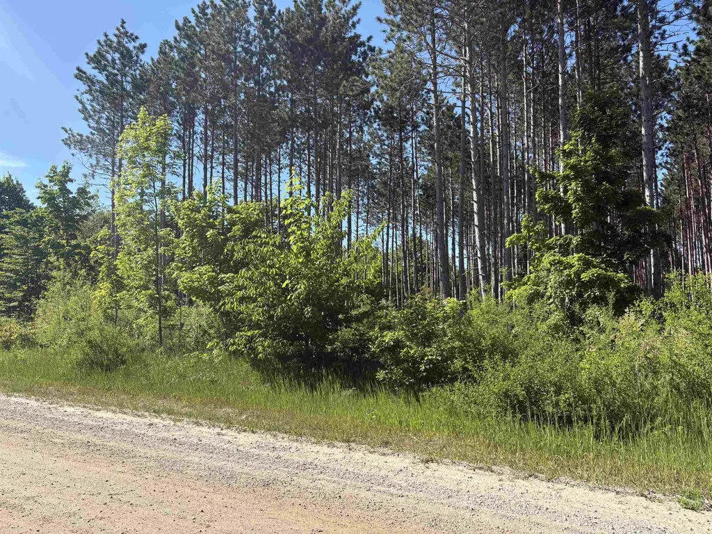 Parcel E Saint Johns Road Inland Township MI 49643