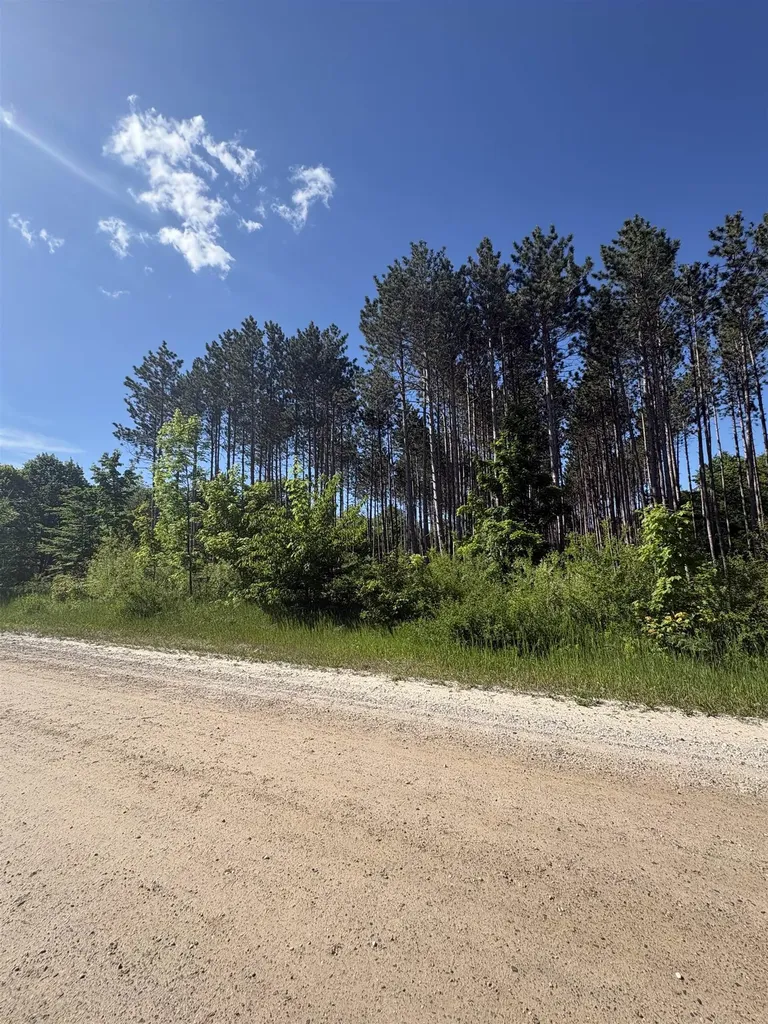 Parcel E Saint Johns Road Inland Township MI 49643