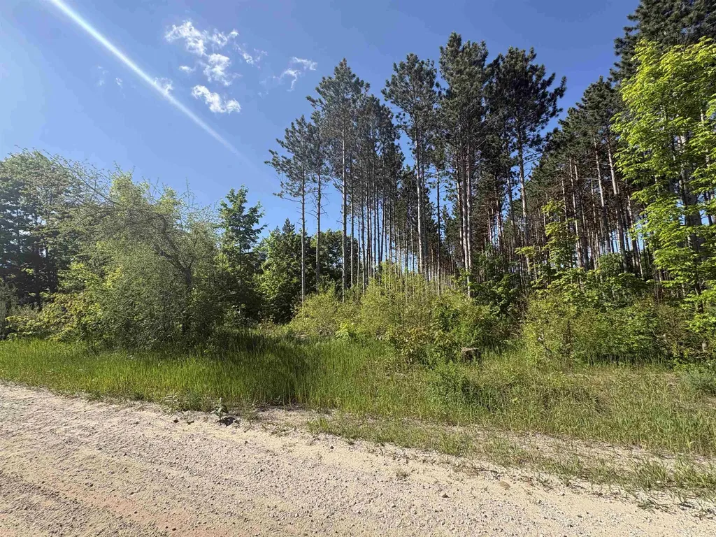 Parcel E Saint Johns Road Inland Township MI 49643