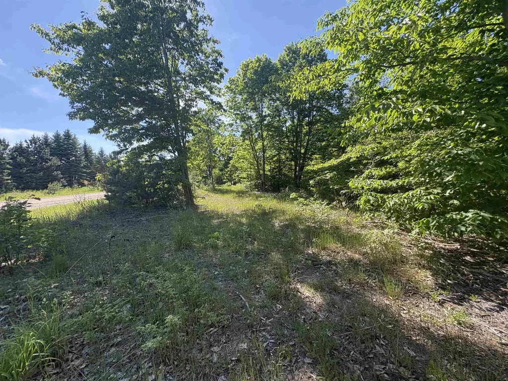 Parcel E Saint Johns Road Inland Township MI 49643