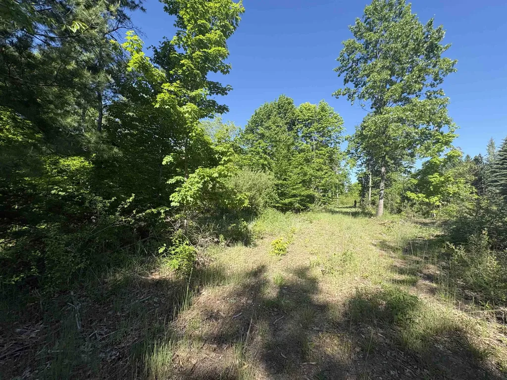 Parcel E Saint Johns Road Inland Township MI 49643
