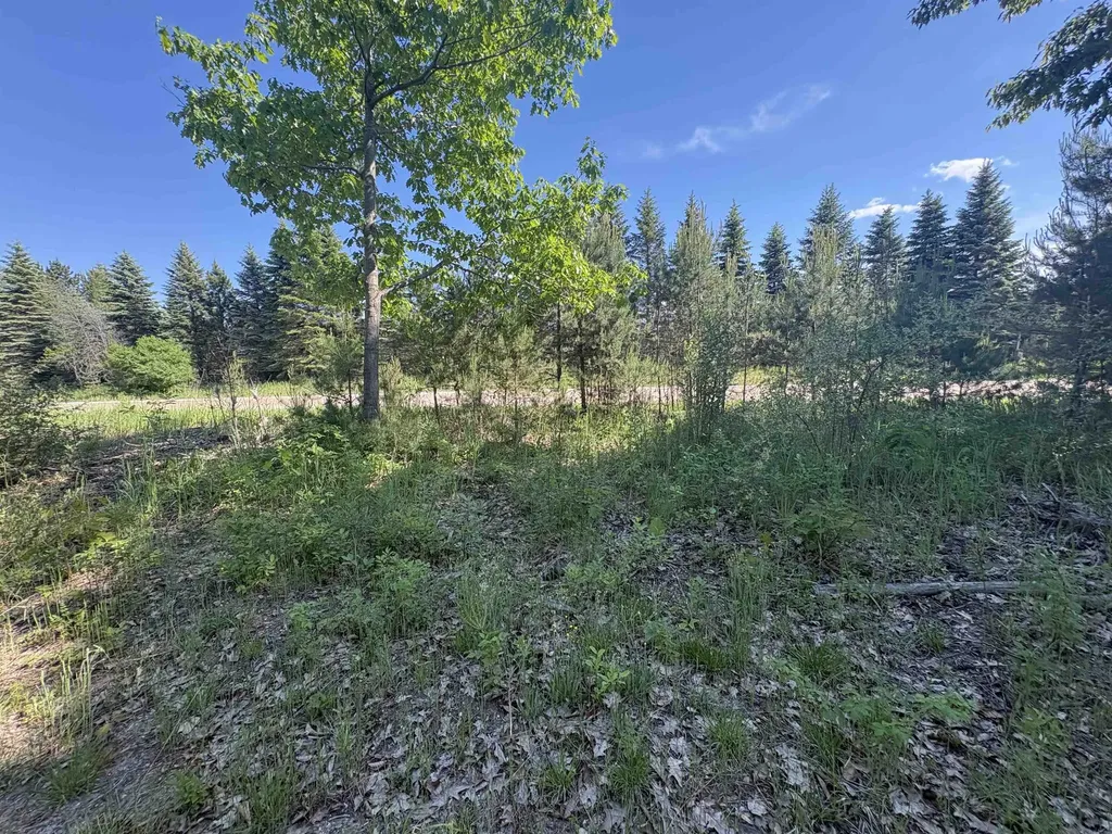 Parcel E Saint Johns Road Inland Township MI 49643