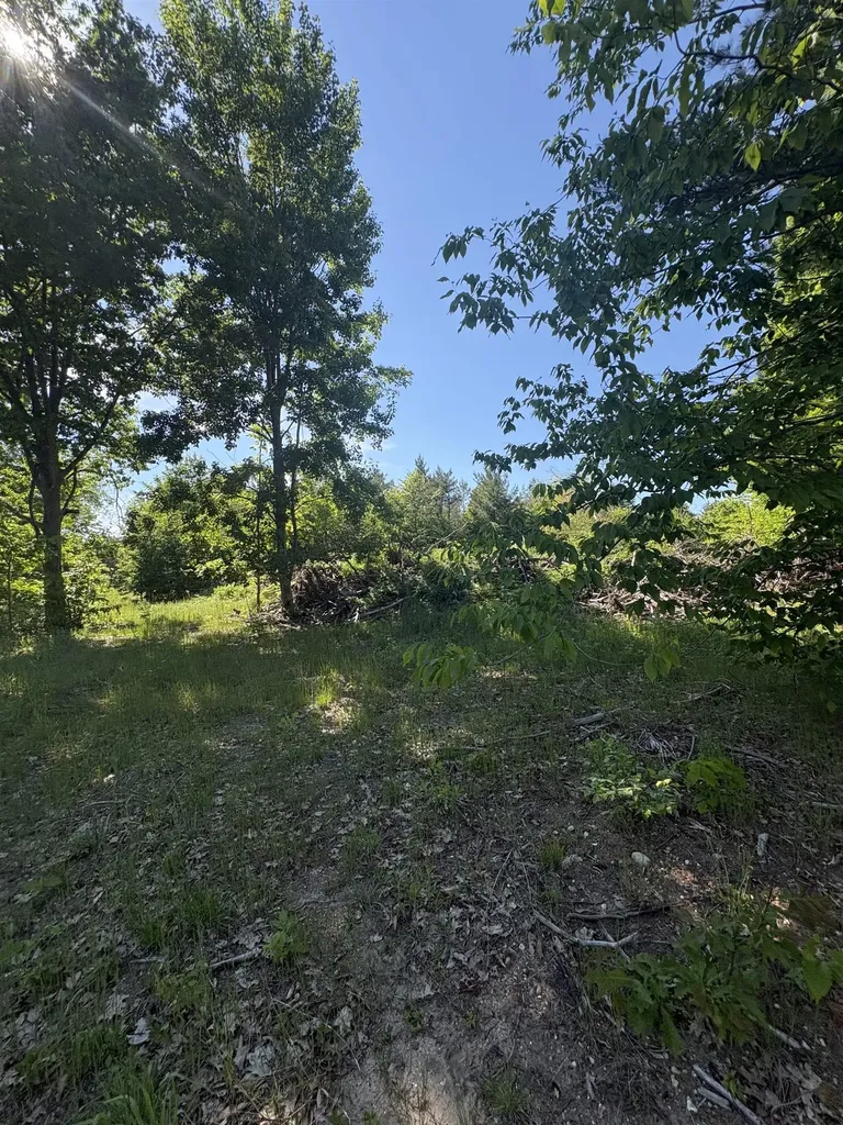 Parcel E Saint Johns Road Inland Township MI 49643