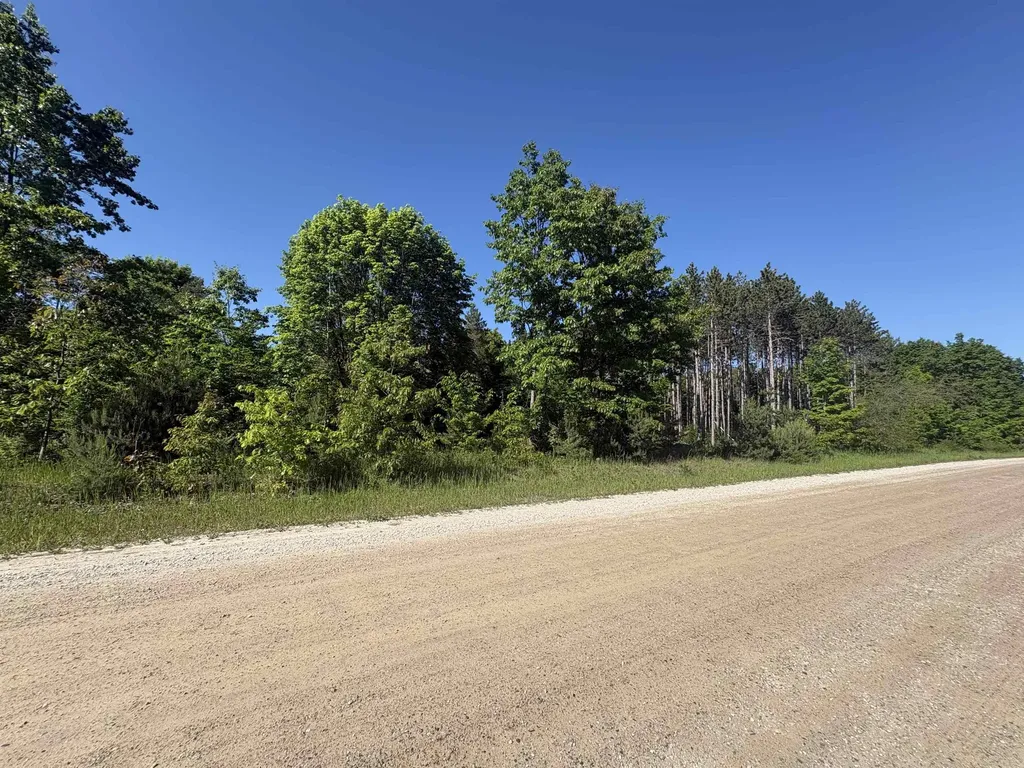Parcel E Saint Johns Road Inland Township MI 49643