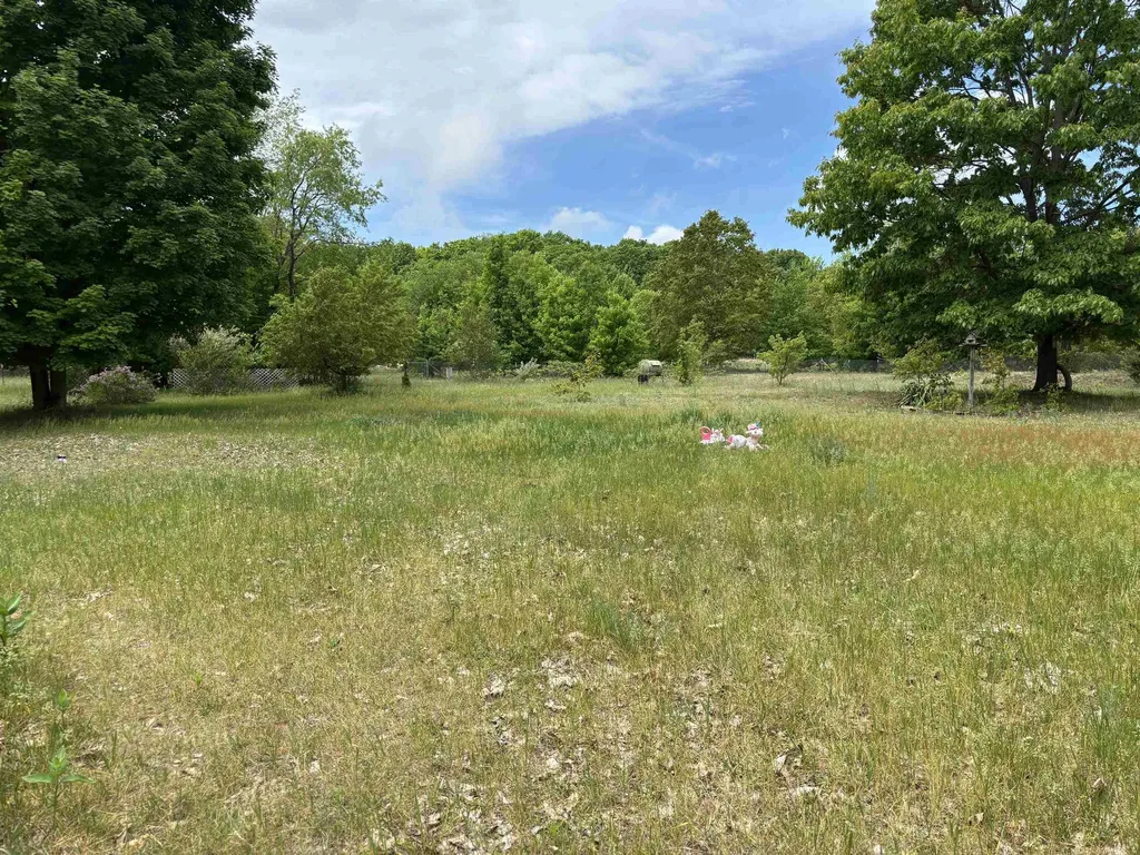 1330 N Betsie River Road Inland Township MI 49643