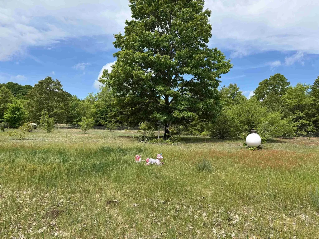 1330 N Betsie River Road Inland Township MI 49643