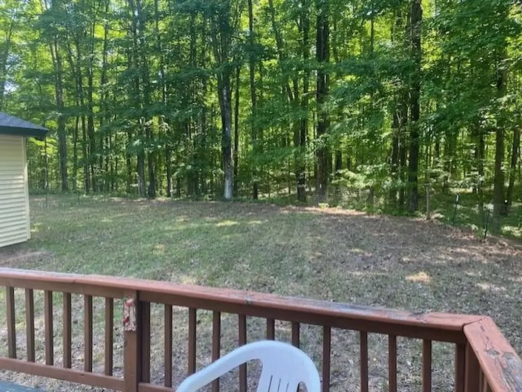 4170 Staceywood Circle Custer Township MI 49615