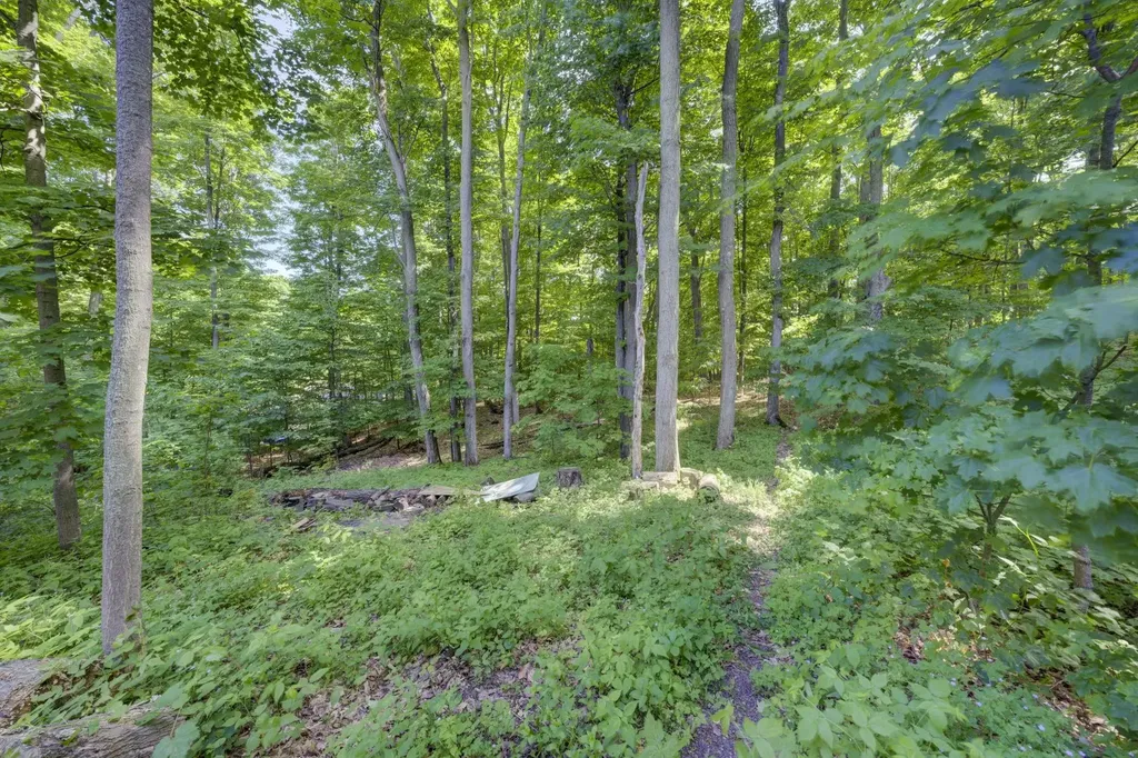 12166 E Old Orchard Trail Suttons Bay Township MI 49682