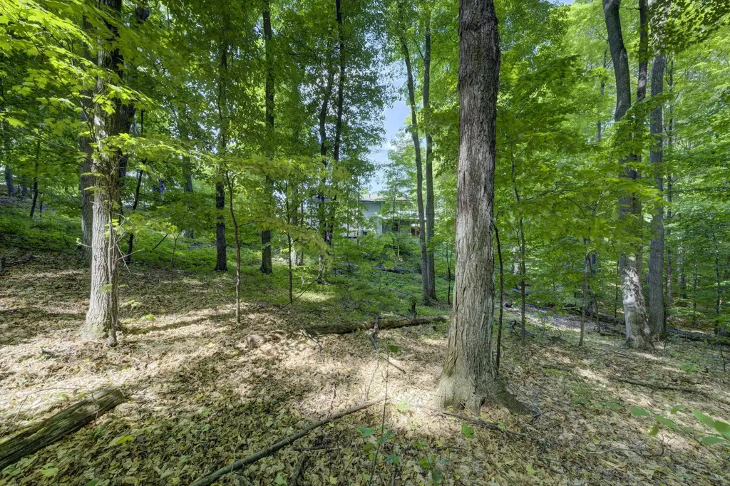 12166 E Old Orchard Trail Suttons Bay Township MI 49682