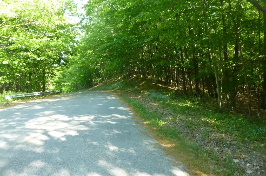 Oo Point Betsie Road Lake Township MI 49635