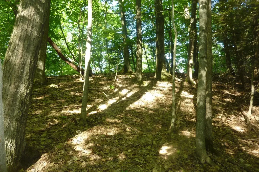 Oo Point Betsie Road Lake Township MI 49635