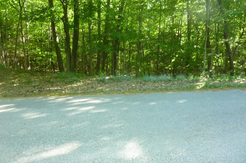 Oo Point Betsie Road Lake Township MI 49635