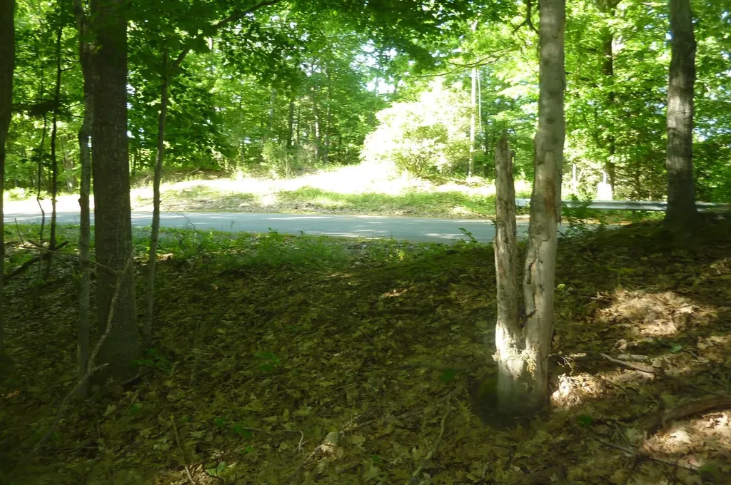 Oo Point Betsie Road Lake Township MI 49635