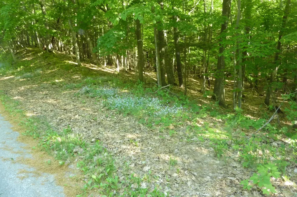 Oo Point Betsie Road Lake Township MI 49635