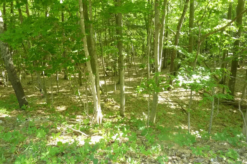 Oo Point Betsie Road Lake Township MI 49635