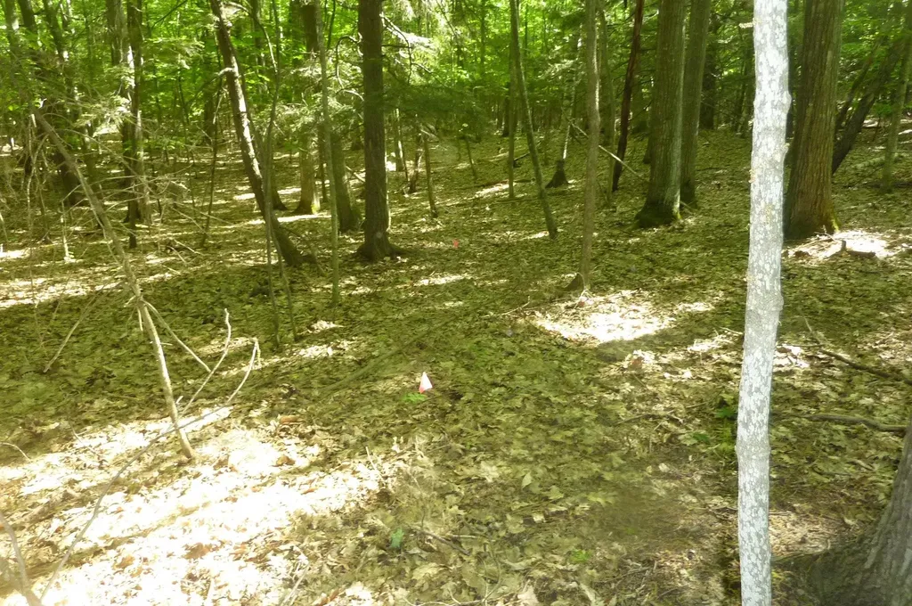 Oo Point Betsie Road Lake Township MI 49635
