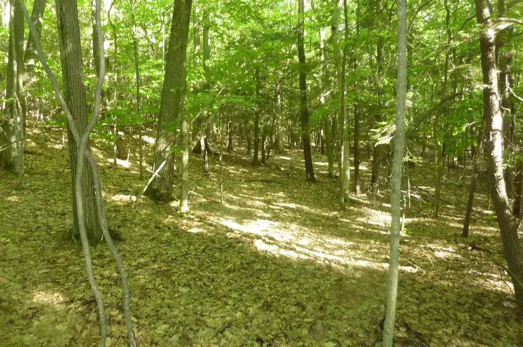 Oo Point Betsie Road Lake Township MI 49635