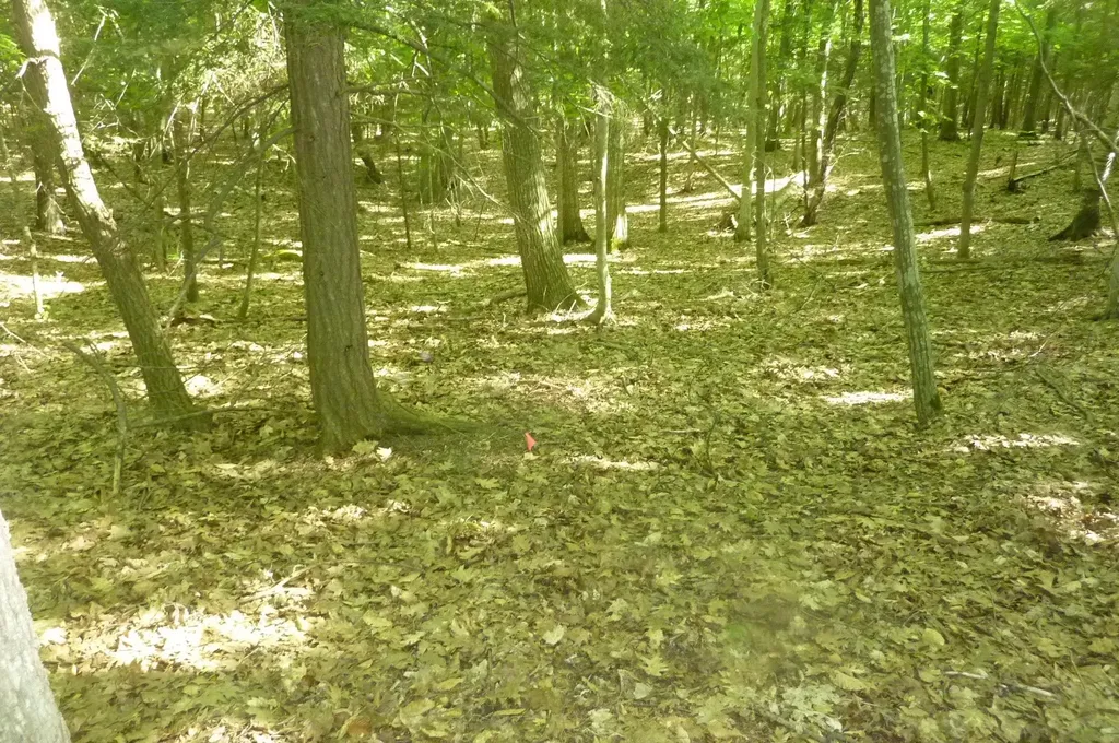 Oo Point Betsie Road Lake Township MI 49635
