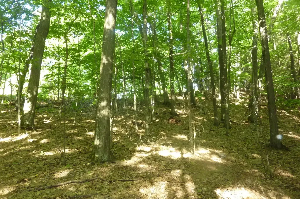 Oo Point Betsie Road Lake Township MI 49635