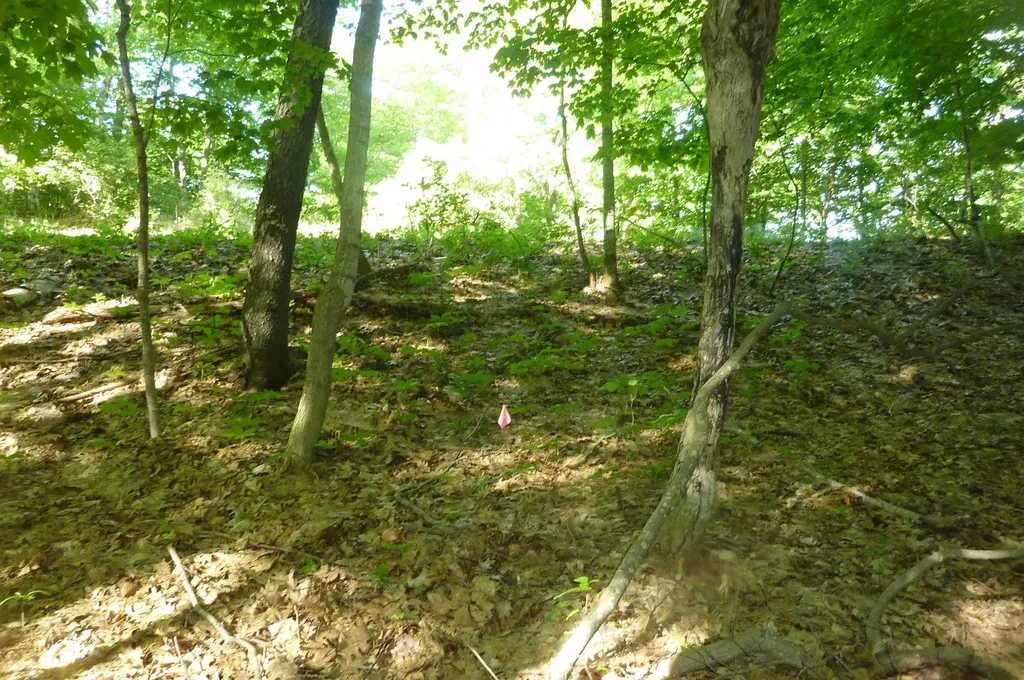 Oo Point Betsie Road Lake Township MI 49635