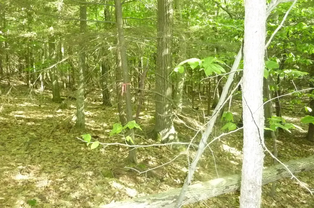 Oo Point Betsie Road Lake Township MI 49635
