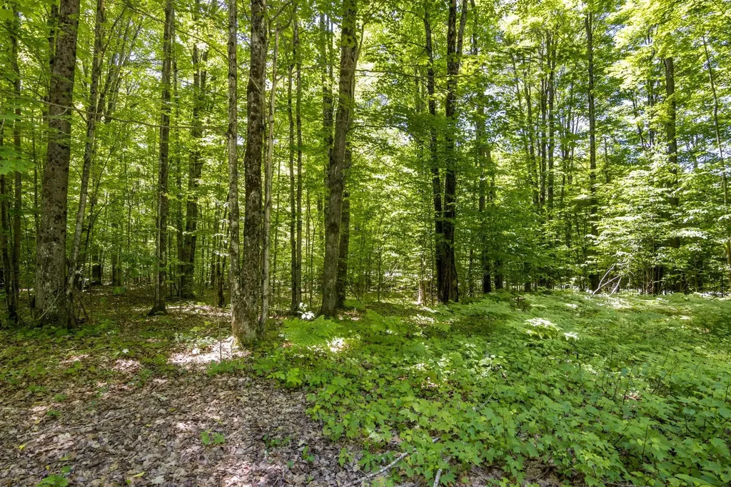 4501 Oslund Road Kearney Township MI 49659