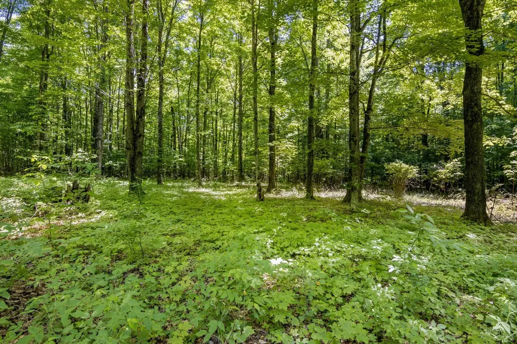 4501 Oslund Road Kearney Township MI 49659