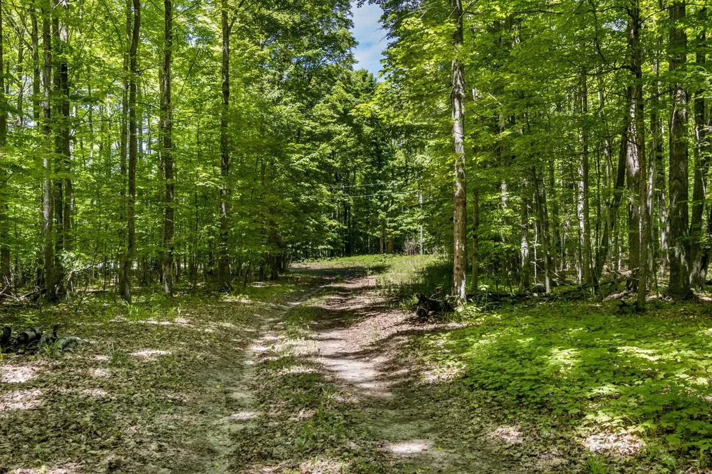 4501 Oslund Road Kearney Township MI 49659