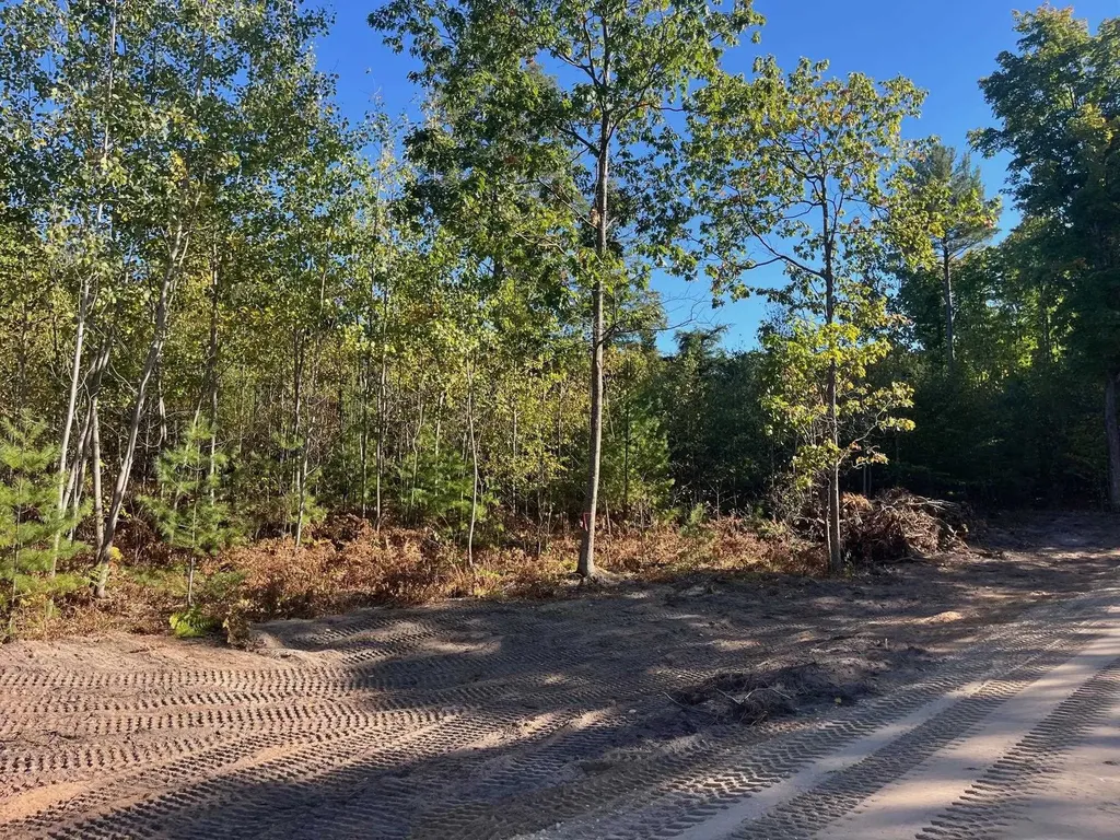 8903 Hemlock Hill Drive Long Lake Township MI 49685