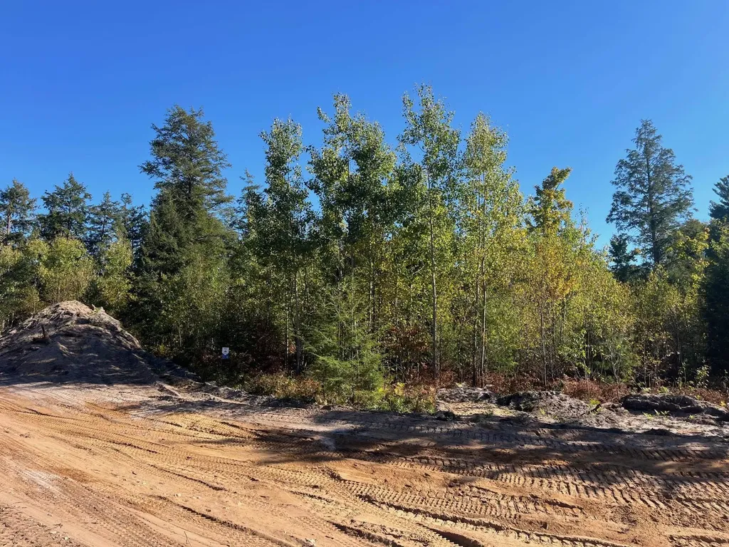 8903 Hemlock Hill Drive Long Lake Township MI 49685