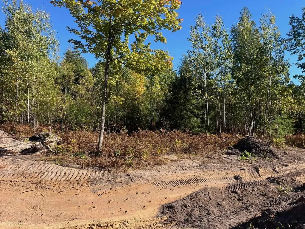 8903 Hemlock Hill Drive Long Lake Township MI 49685