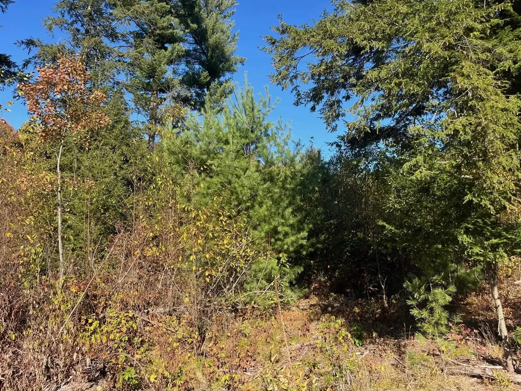 8886 Hemlock Hill Drive Long Lake Township MI 49685