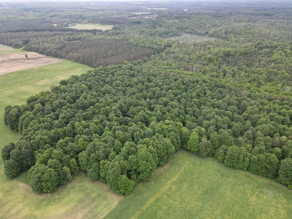 120 Acres Blackman Road Paradise Township MI 49649