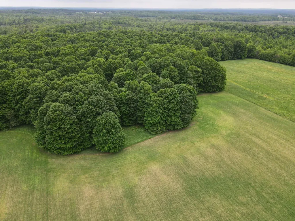 120 Acres Blackman Road Paradise Township MI 49649