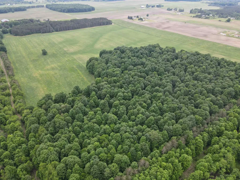 120 Acres Blackman Road Paradise Township MI 49649